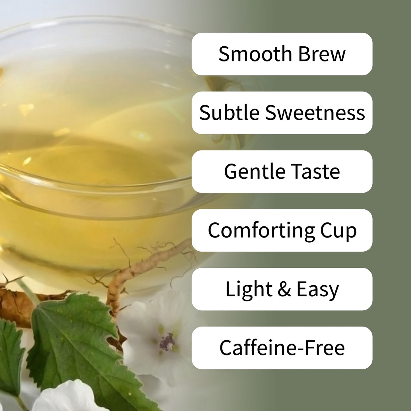 Marshmallow Root Tea