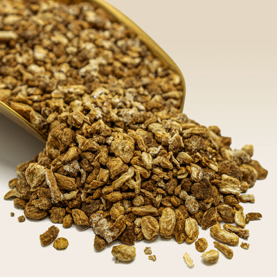 Heap of dried Burdock Root with a gold scoop on a light background