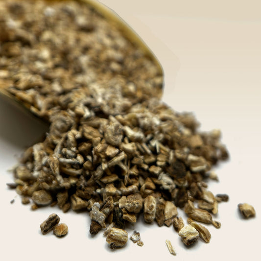 Burdock Root Tea