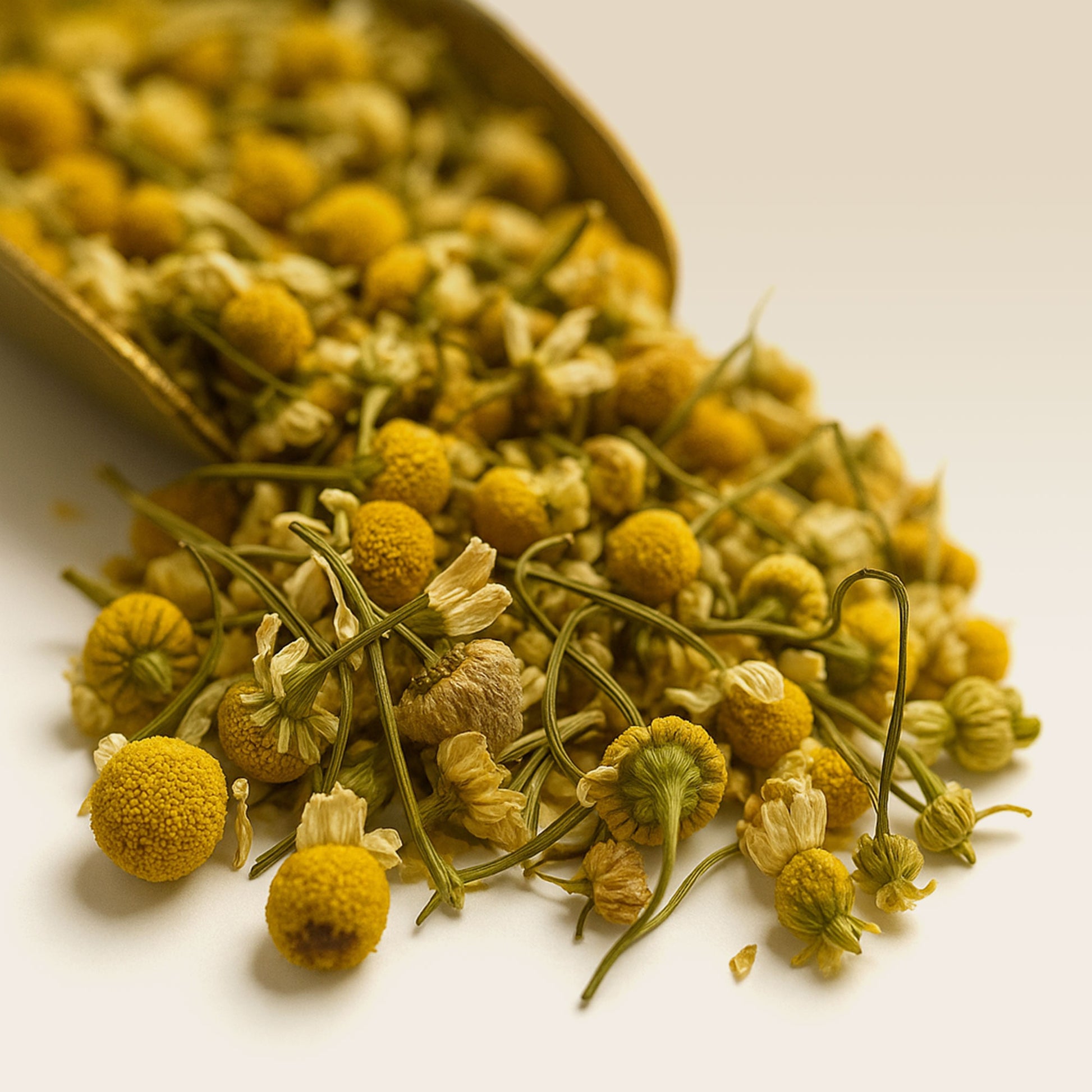 Dried chamomile flowers spilled out of a golden scoop, with a abundance of small, yellow flower heads and green stems.