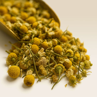 Chamomile Flower Tea