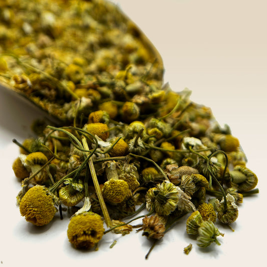 Chamomile Flower Tea