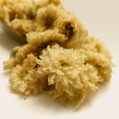 A close-up image of dried Chrysanthemum flowers.