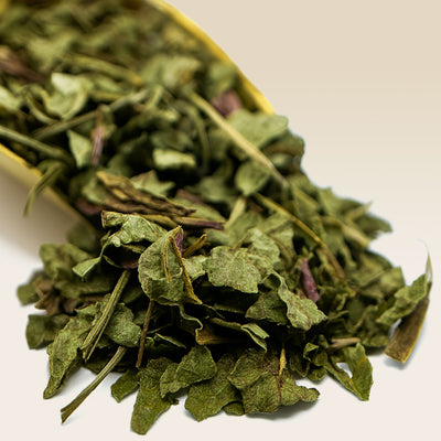 Dried green Echinacea Leaves in a yellow scoop on a white background