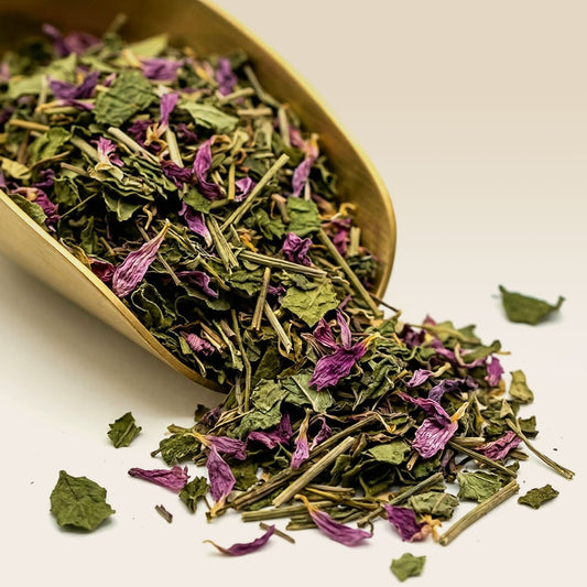 Organic Echinacea Purpurea Top Herbal Tea