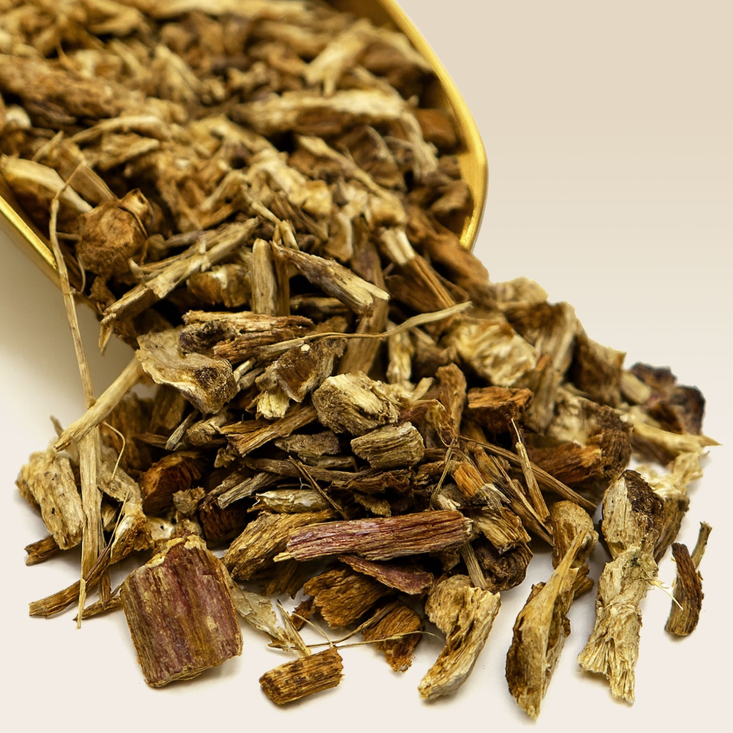 Echinacea Root in a gold scoop on a white background