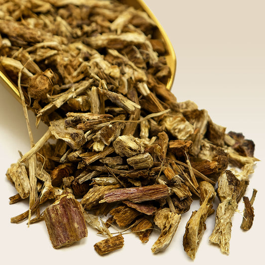 Echinacea Root in a gold scoop on a white background