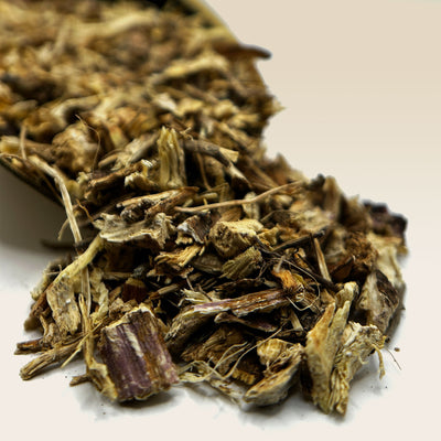Echinacea Root Tea