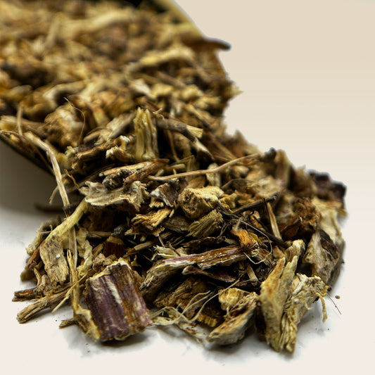 Echinacea Root Tea