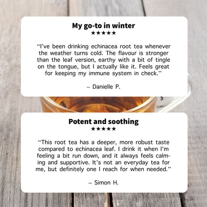 Echinacea Root Tea