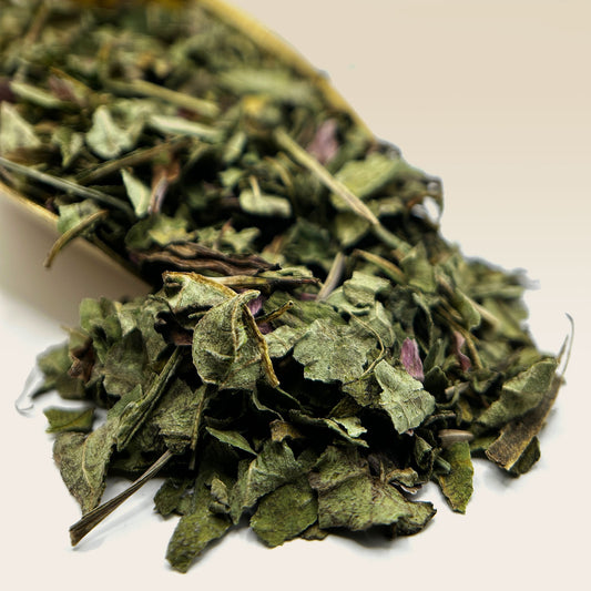 Echinacea Leaf Tea