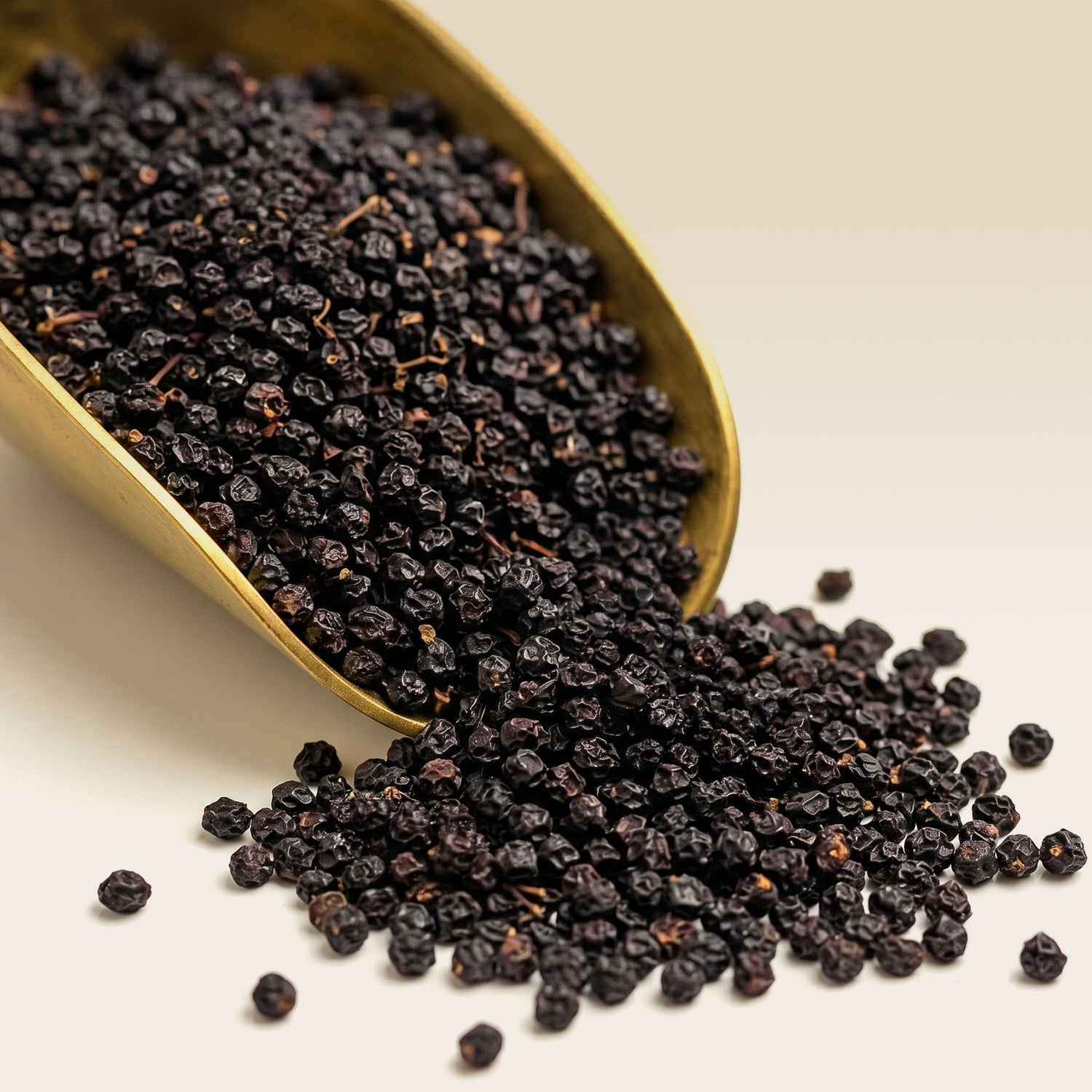 Organic Elderberry Fruit Tea