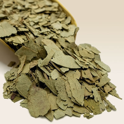 Dried Eucalyptus Leaves in a scoop on a beige background