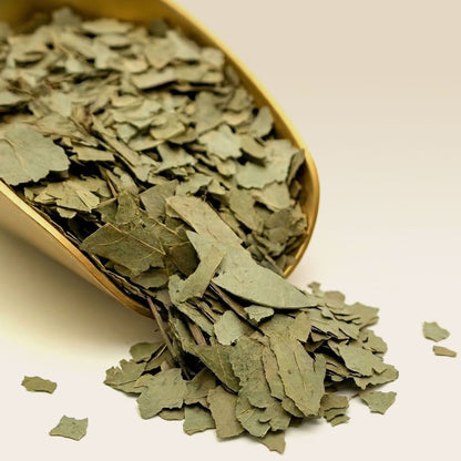 Organic Eucalyptus Leaf Herbal Tea