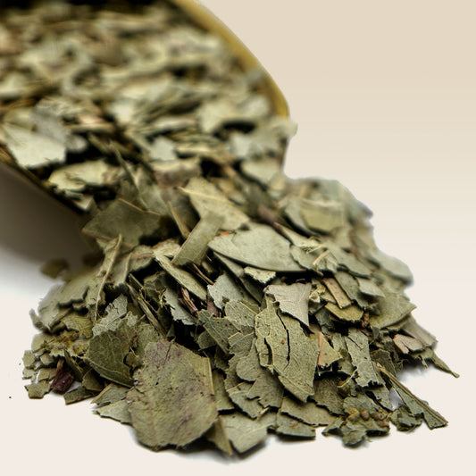 Eucalyptus Leaf Tea