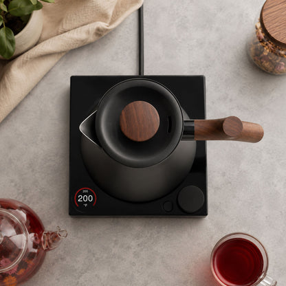 Fellow Corvo EKG Pro Electric Kettle