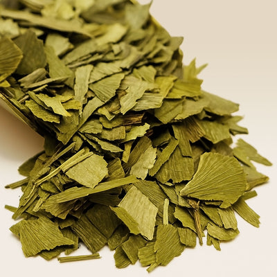 Close-up of green Ginkgo leaves on a white background