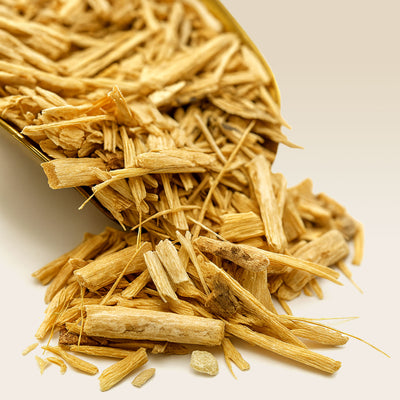 close-up of Ginseng root on a golden scoop