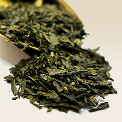 Sencha Tea