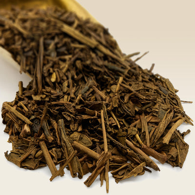 Close-up of Japanese Hojicha tea on a white background