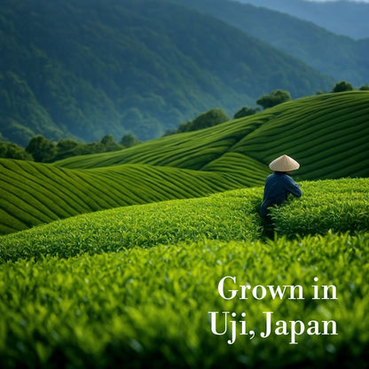 Matcha Tea — Ceremonial-Grade