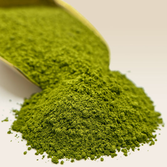 Close-up of green Ceremonial Matcha powder with a spoon on a white background