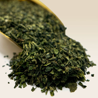 Dry green Nettle Leaf tea on a white background