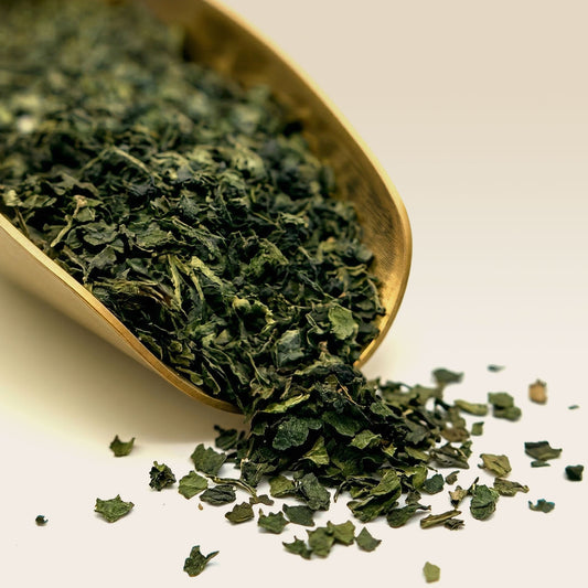 Organic Nettle Leaf Herbal Tea