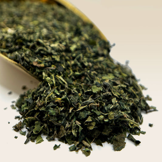 Nettle Leaf Tea