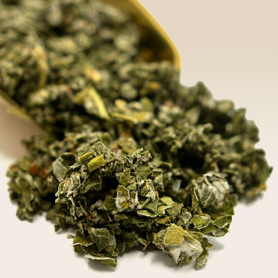 Close-up of dried Raspberry Leaf on a white background
