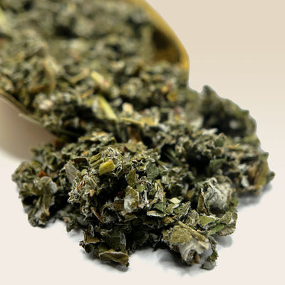 Raspberry Leaf Tea