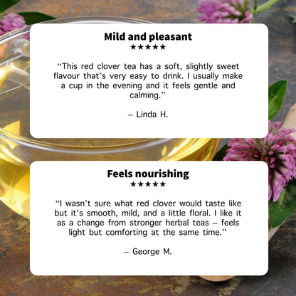 Red Clover Flower Tea