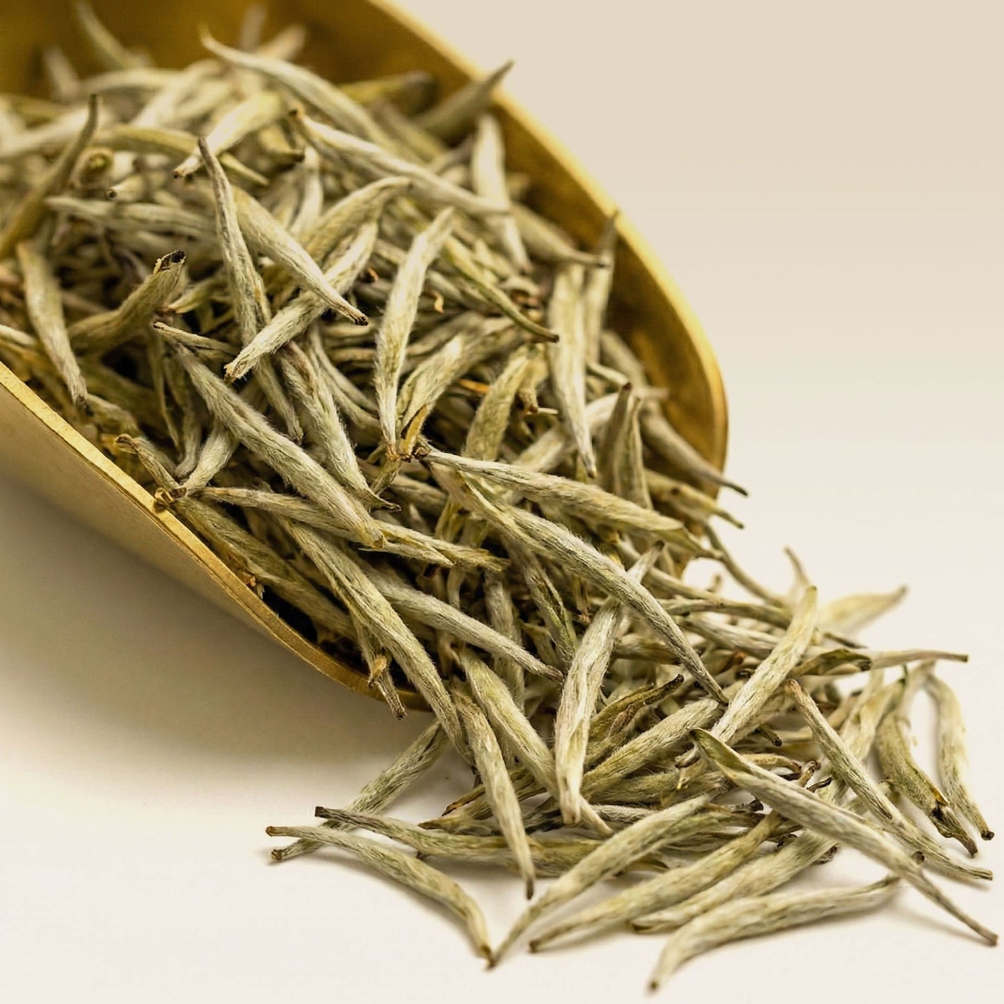 Organic Silver Needle White Tea