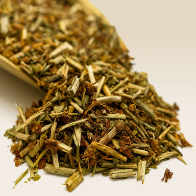 St Johns Wort on a white background