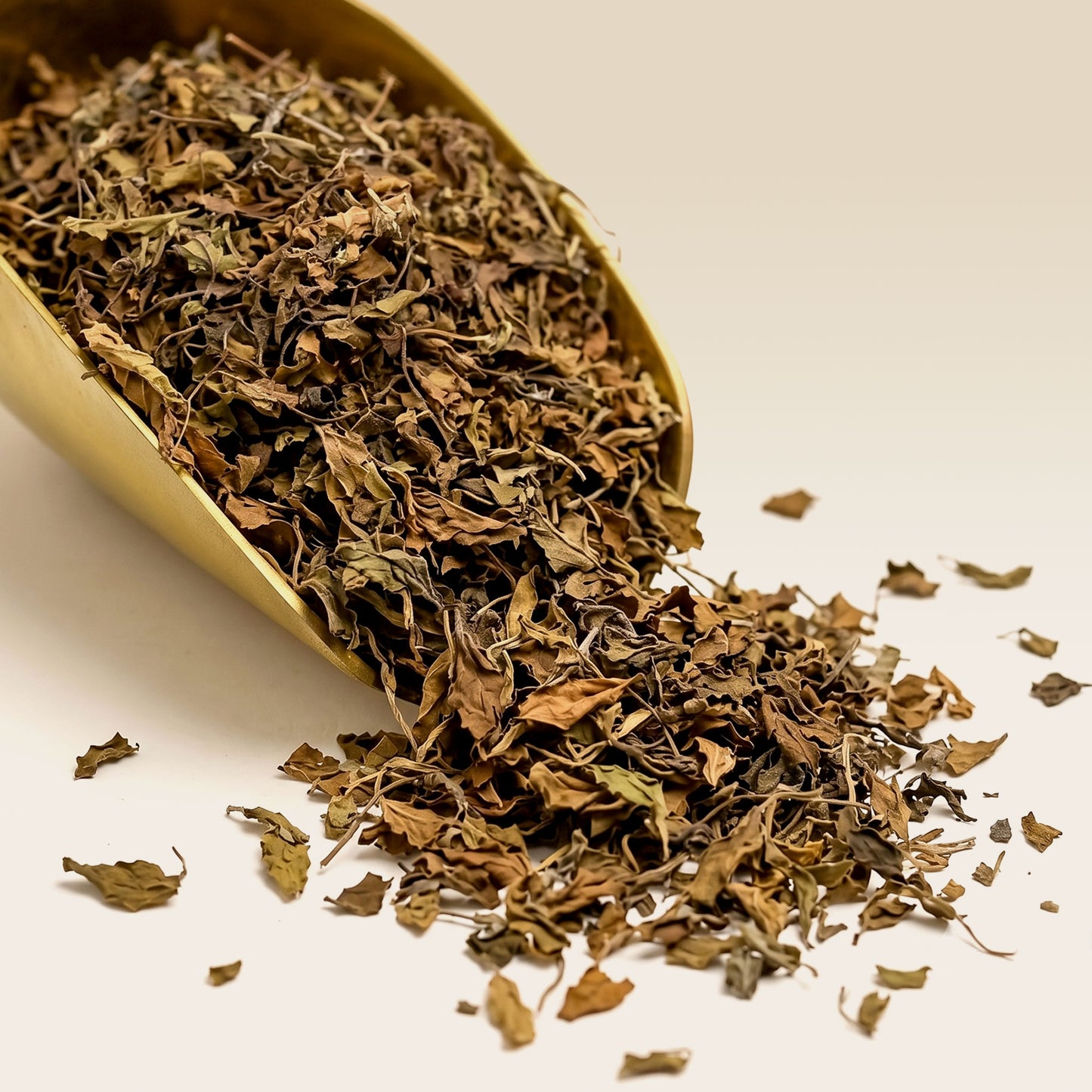 Organic Tulsi Rama (Holy Basil) Tea