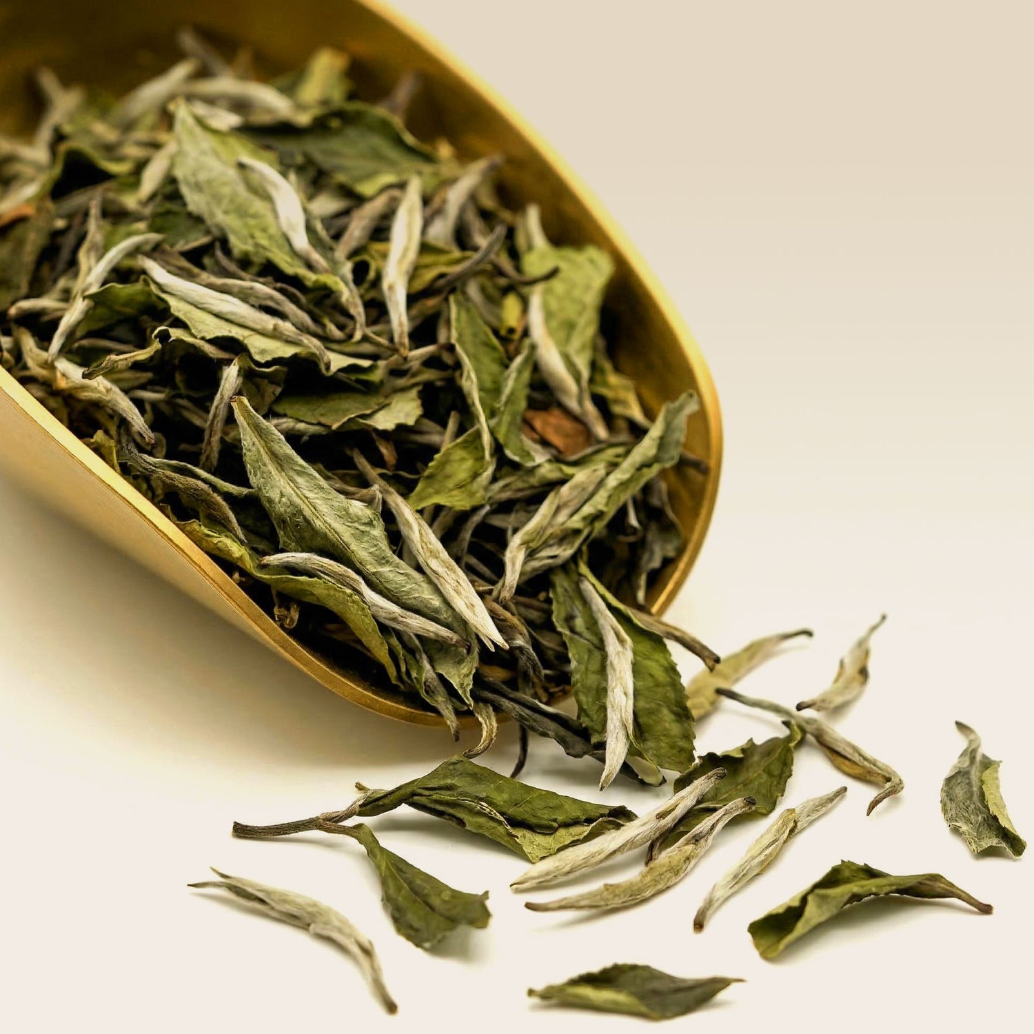 Organic White Peony Tea (Bai Mu Tan)