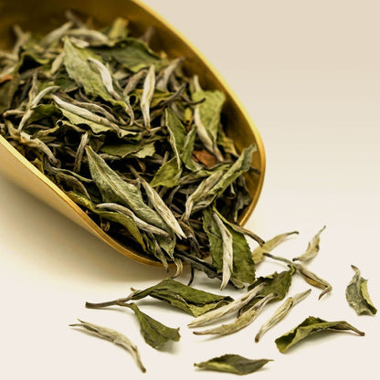 Organic White Peony Tea (Bai Mu Tan)
