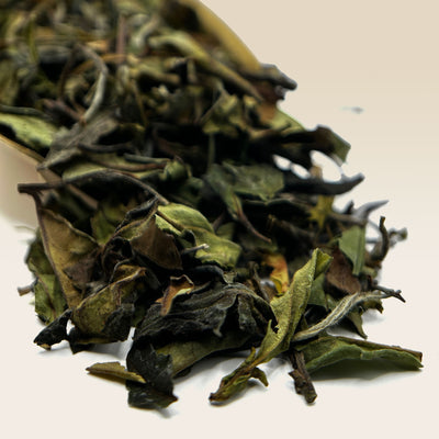 Peony Tea