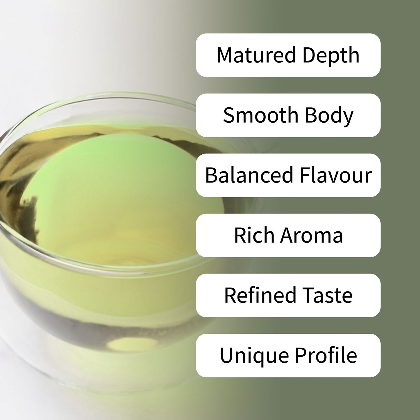 Yerba Mate Aged Tea