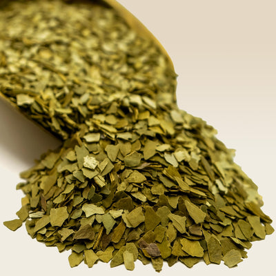 Heap of green Aged Yerba Mate on a white background