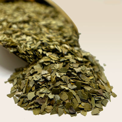 Yerba Mate Aged Tea