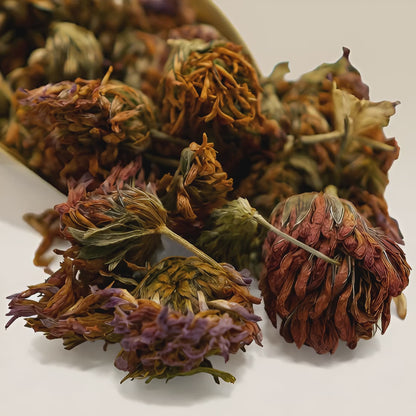 Red Clover Flower Tea