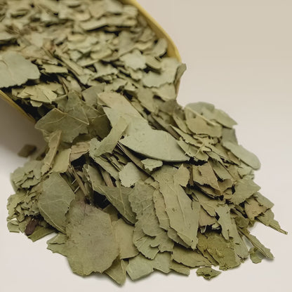 Eucalyptus Leaf Tea