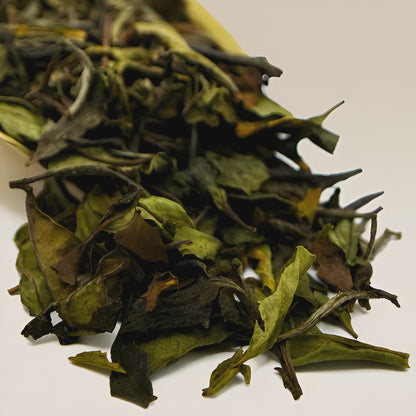 Peony Tea (Bai Mu Tan)
