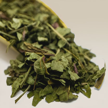 Echinacea Purpurea Top Tea